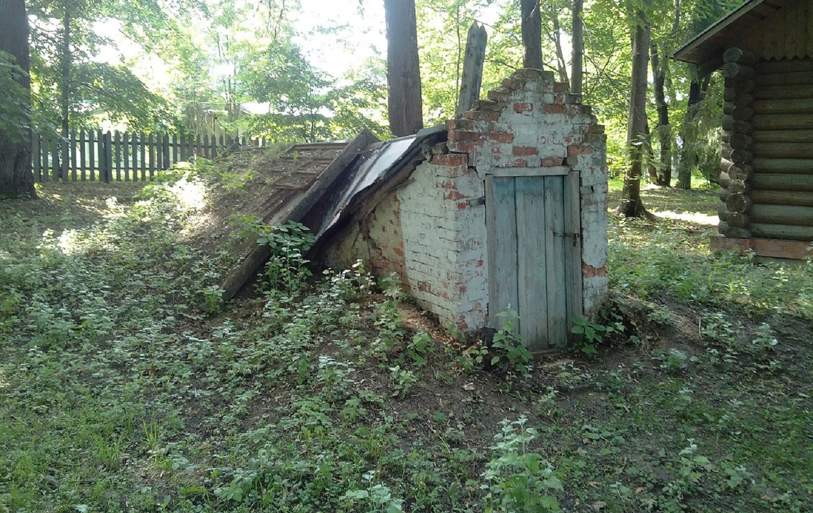 Як подолати сирість: готуємо льох або підвал до прийняття врожаю