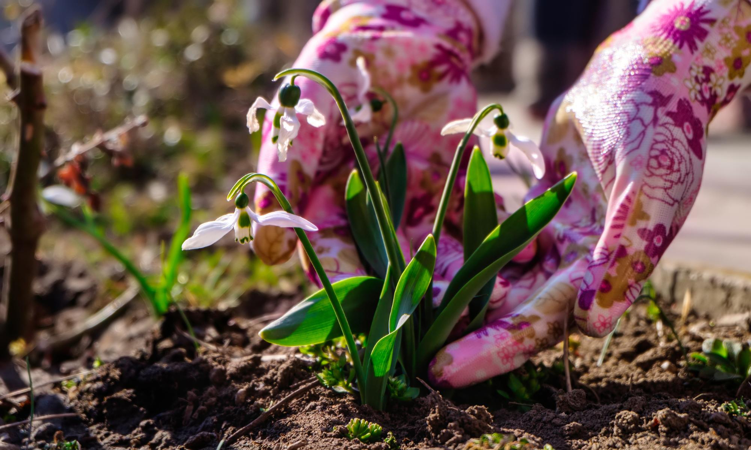 Мешканців Києва попередили про "нові" штрафи: що відомо