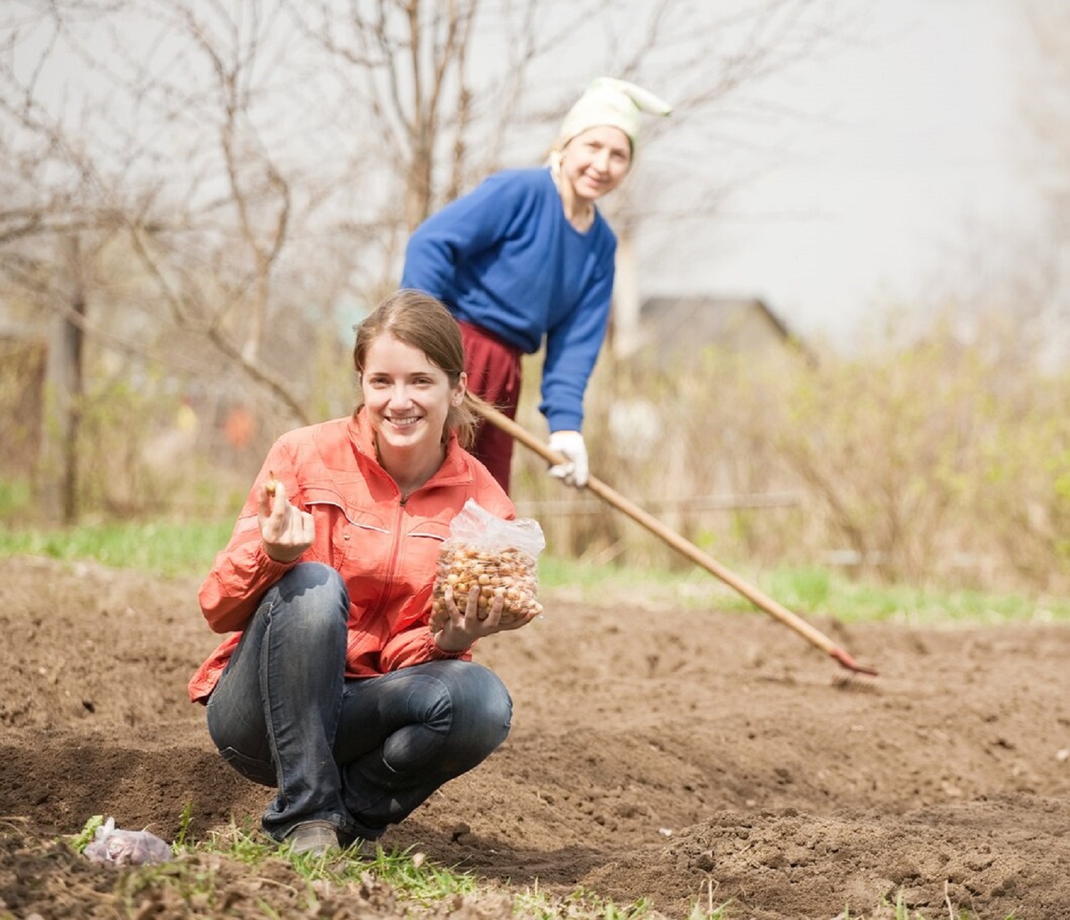 10 ошибок, которые хозяева делают на огороде весной и расплачиваются весь год