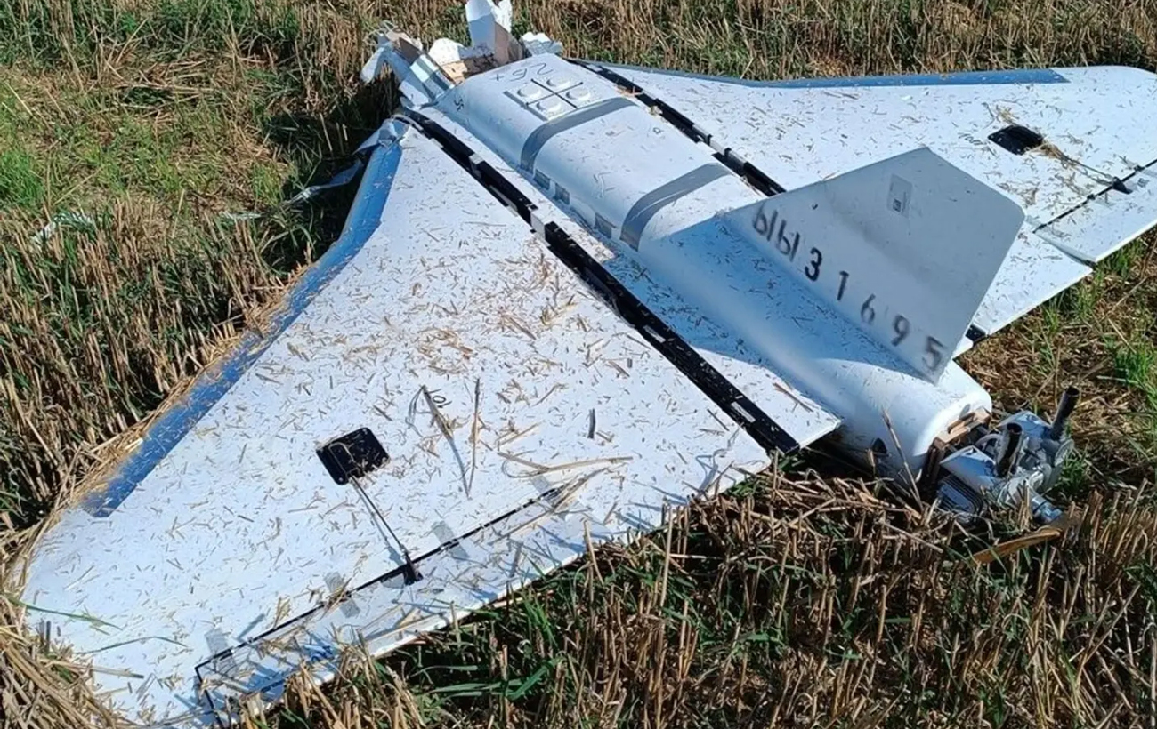 Віце-президент ПАРЄ лорд Дон Туїг: Ніхто не може зрозуміти, чого саме прагне Трамп