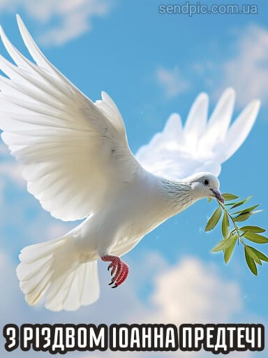 Свято Івана Купала та Різдво Іоанна Хрестителя: привітання та листівки