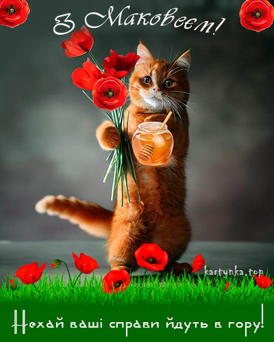 Медовий Спас 2024. Як привітати з Маковієм рідних і близьких