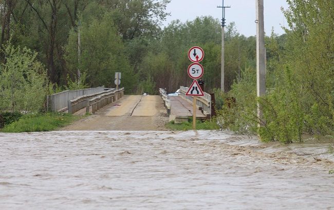Повалені дерева, град і потоки: жахливі наслідки стихії в Україні