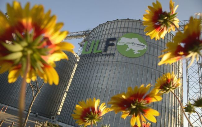 В "Укрлендфарминг" 60% посевных площадей в этом сезоне занимает кукуруза