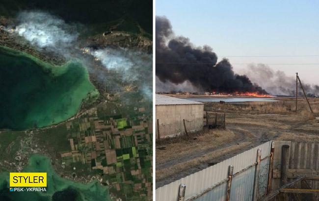 Оккупанты уничтожают уникальный заповедник под Херсоном: фото путинского преступления