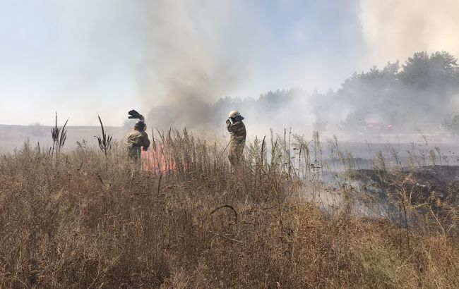 Пожежа в Харківській області: поліція відкрила справу