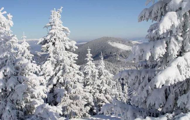 ГСЧС предупреждает о лавинной опасности в Ивано-Франковской и Закарпатской областях