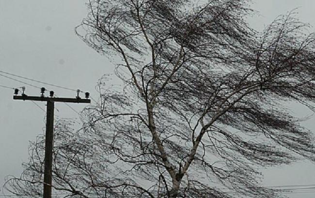 У Львівській області негода знеструмила понад 30 населених пунктів