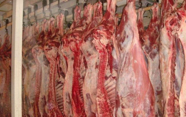 Россия не допустила ввоз в Крым крупной партии украинской говядины