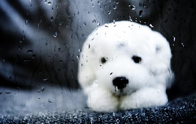 Погода на сьогодні: на більшій території України очікуються дощі, температура до +26