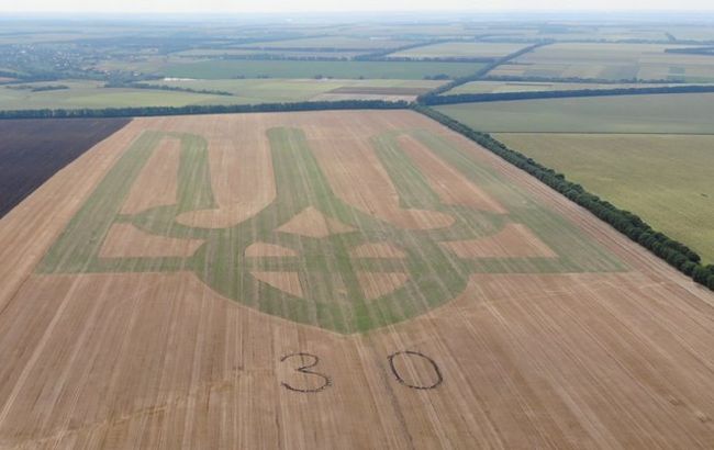 Под Винницей&nbsp;фермеры высеяли на поле самый большой герб Украины: видео рекорда