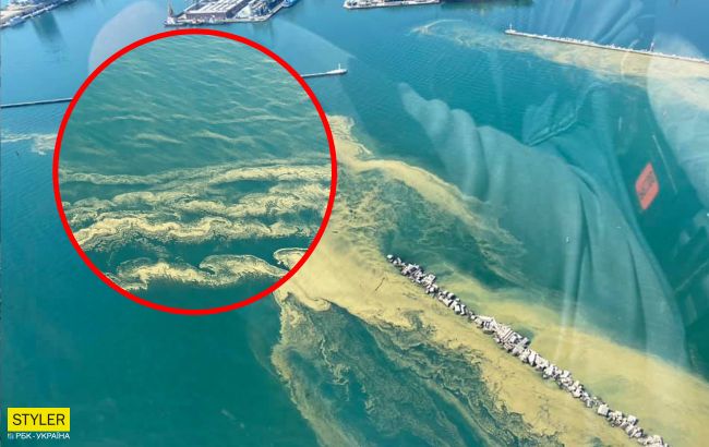 Черное море снова позеленело: купаться не рекомендуется