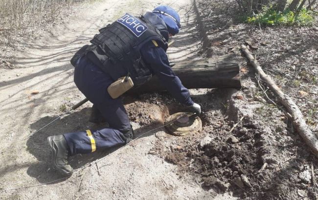 Специалисты ГСЧС разминировали восемь населенных пунктов в Житомирской области, - Тимошенко