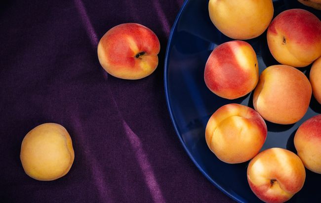 Абрикоси підвищують імунітет і поліпшують роботу організму: кому їх їсти категорично не можна