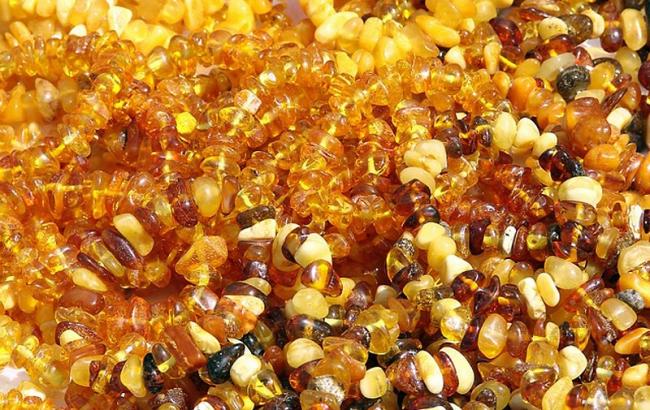 В Закарпатской обл. пограничники обнаружили около 50 кг янтаря