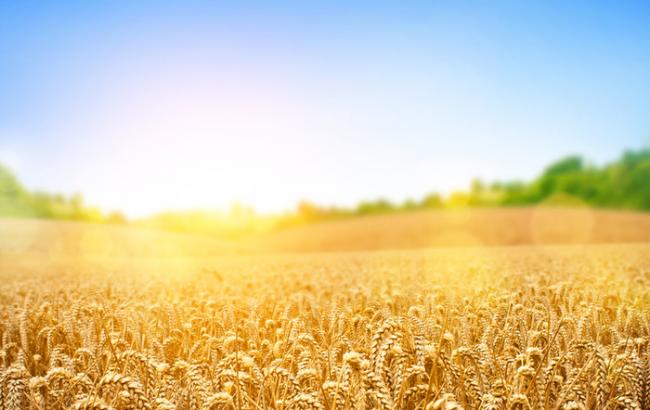 МинАП сегодня объявит победителя конкурса в "Укрспирте" и еще 10 госпредприятий