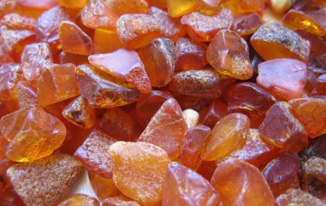 В Ровенской области будут судить добытчиков янтаря