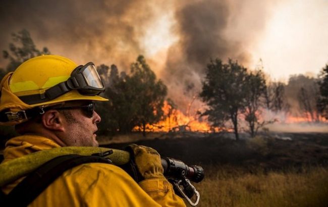 В Калифорнии из-за лесных пожаров введен режим ЧП