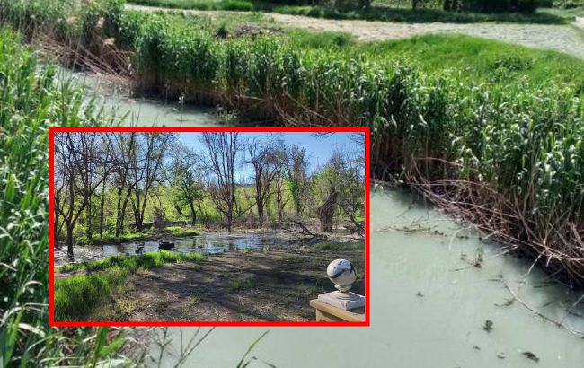 У Маріуполі екологічний колапс: у міському парку утворилася "річка" з каналізаційних стоків (фото)