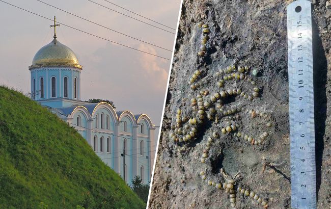 На Волині відкопали унікальне намисто, якому понад 800 років: як виглядає ця прикраса