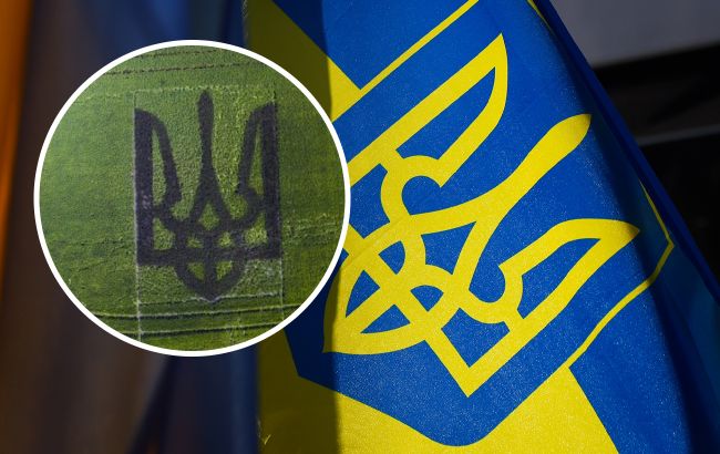 Українські фермери викосили на полі гігантський тризуб: як виглядає це рекордне диво (відео)