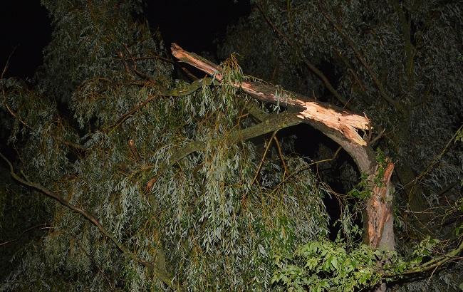 Вследствие буревала в Черкасской области пострадали 48 человек