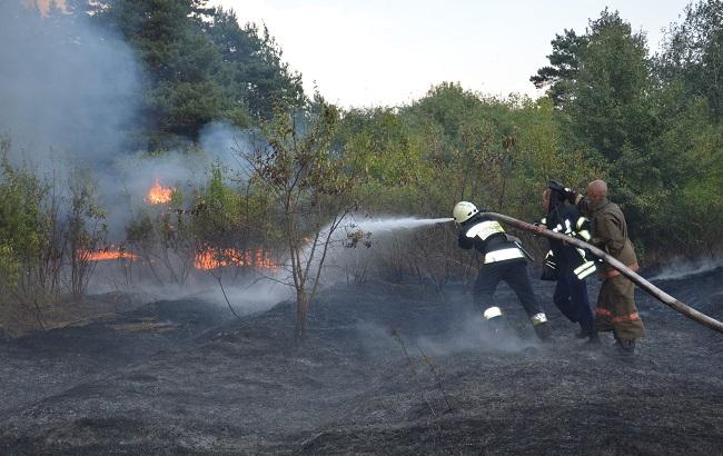 Спасатели продолжают тушение лесных пожаров в южных областях