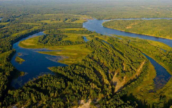 В Чернобыле ученые заметили&nbsp;редкую для Украины змею: фото рептилии