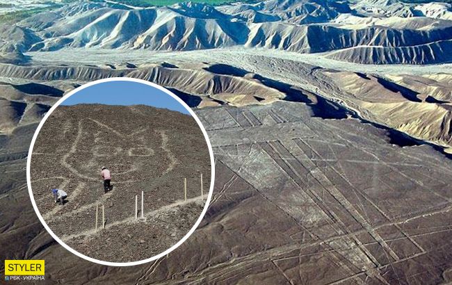 В Перу обнаружили гигантский рисунок домашнего животного: ему около 2 тыс. лет