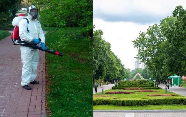 Парки Києва оброблятимуть отрутою від кліщів: куди і коли краще не ходити