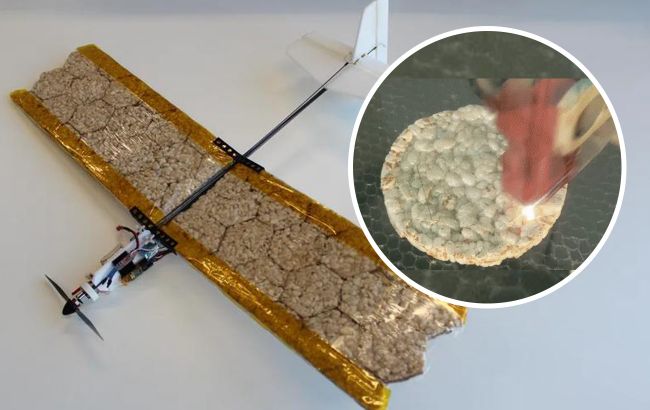 Винахідники створили їстівний дрон: навіщо його їсти (фото)