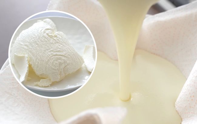 Як приготувати смачний крем-сир вдома із трьох продуктів (відео)