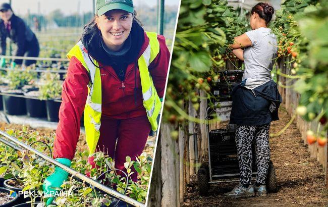 От 2000 евро. Сколько платят украинцам в Великобритании без знания языка