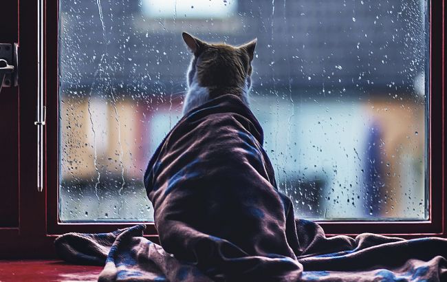 Погода на завтра: в Україні місцями дощі, температура до +23