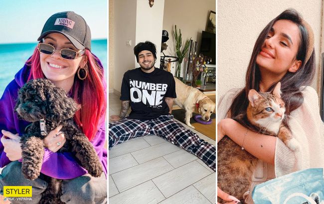 Украинские звезды похвастались своими любимцами: слепая кошка Буля и сразу 7 собак!