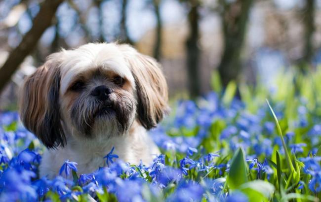Погода на сегодня: в Украине переменная облачность, местами дожди, температура до +23