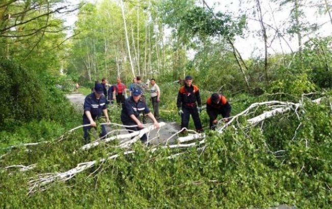 В Украине из-за непогоды обесточены 99 населенных пунктов