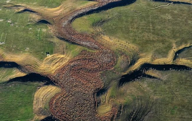 В Крыму высохло большое пресное озеро: на дне растут деревья
