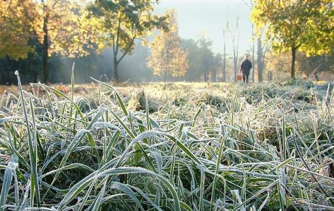ГСЧС предупреждает о заморозках сегодня ночью