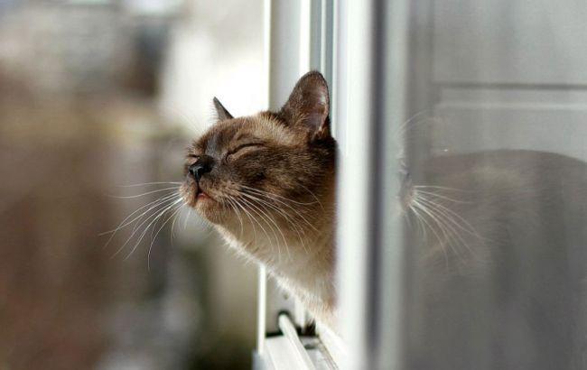 Погода на сегодня: в Украине преимущественно без осадков, температура до +26