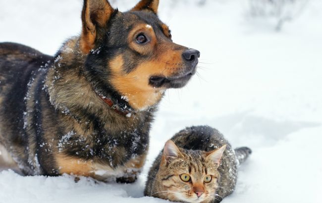 Погода на завтра: в Украине местами снег, температура до +8