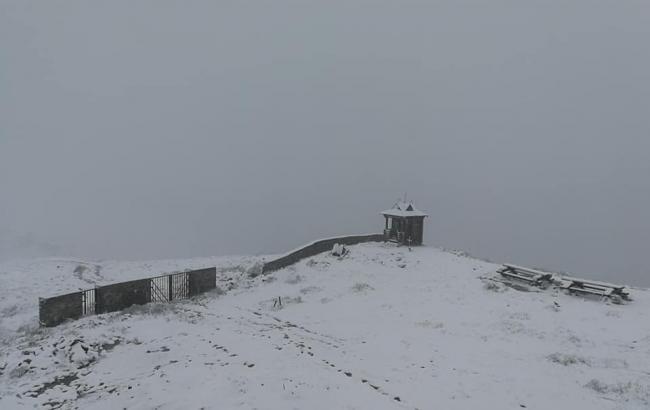 Эвакуация детского лагеря на Закарпатье: Москаль сообщил подробности