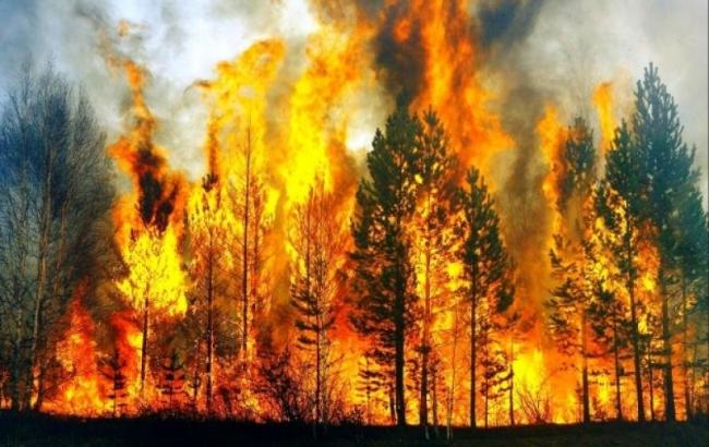 В районе Фукусимы почти неделю тушат масштабные лесные пожары