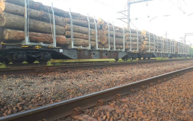 Москаль заявил об обнаружении деловой древесины в 8 вагонах на границе с ЕС