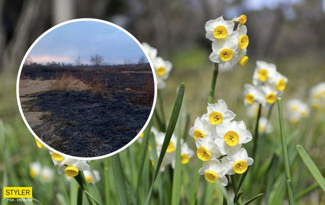 На Закарпатье сгорела знаменитая Долина нарциссов: уничтожено полгектара