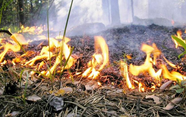 У Чернігівській області на військовому полігоні сталася пожежа