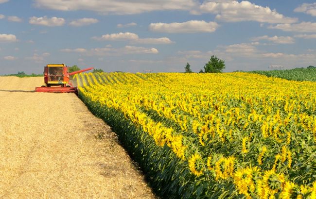 Совет директоров компании "Кернел" обратился к высшему руководству страны