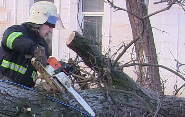 Из-за непогоды в Украине обесточены 339 населенных пунктов