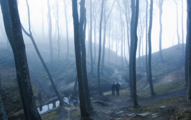 Замки-призраки и проклятые острова: почему туристы платят за страх и мистические легенды
