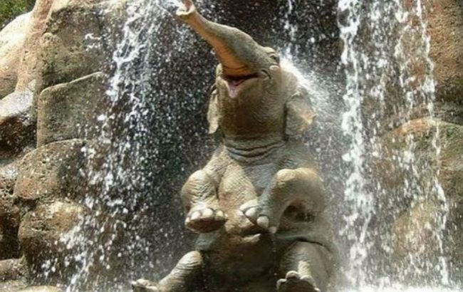 Погода на сьогодні: в Україні без опадів, температура до +34